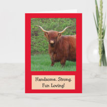 Beau Amusant Highland Steer Anniversaire