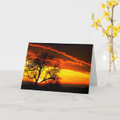 Carte Beau Anniversaire Du lever Au coucher Du Soleil (Fleur jaune)