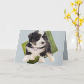 Carte Beau art de la marionnette bernedoodle verte  (Fleur jaune)