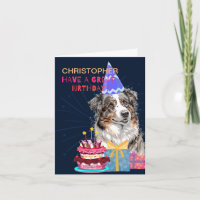 Beau Berger Australien Avec Gâteau Anniversaire