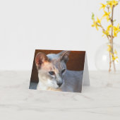 Carte Beau Bleu Bleu Eyes (Fleur jaune)