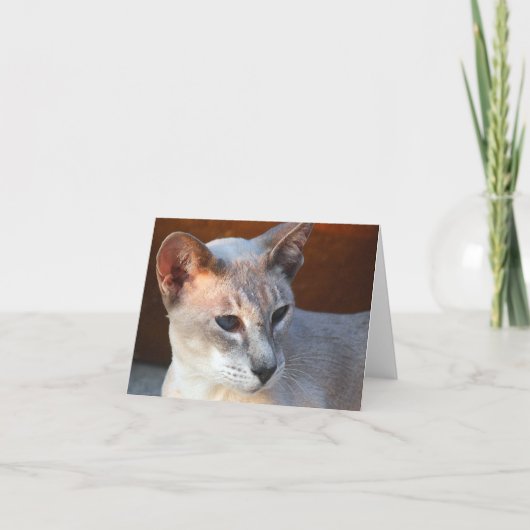 Carte Beau Bleu Bleu Eyes (Devant)