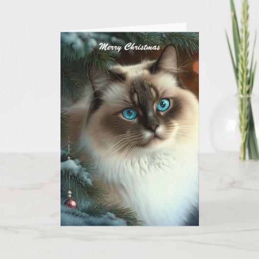 Carte Beau chat de Noël (Devant)