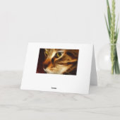 Carte Beau chat fantomatique du feu (Dos)