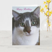 Carte Beau chat gris et blanc Anniversaire (Fleur jaune)
