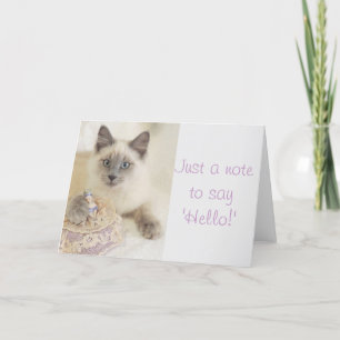 Carte Beau chat juste une note pour dire bonjour la