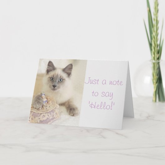 Carte Beau chat juste une note pour dire bonjour la (Devant)