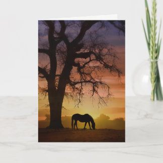 Carte Beau Cheval dans Sud-Ouest Sunset Anniversaire