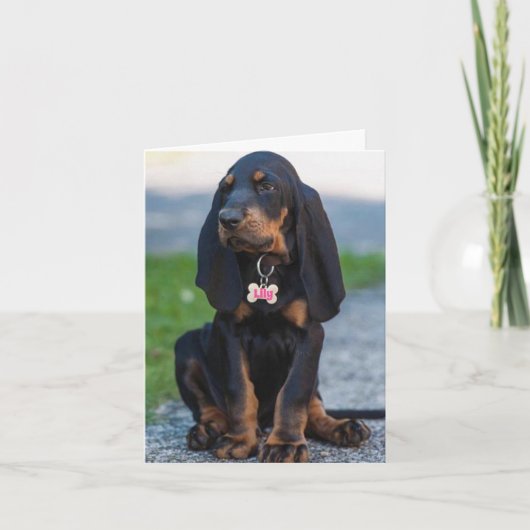 Carte Beau Coonhound N'importe quelle occasion (Devant)