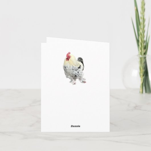 Carte Beau Coq (Dos)