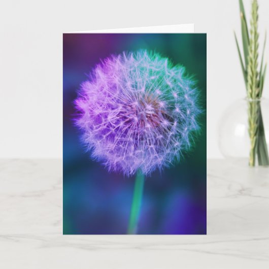 Carte Beau Dandelion sur Vert et Bleu Arrière - plan (Devant)