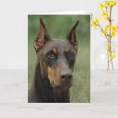 Carte Beau Doberman (Fleur jaune)