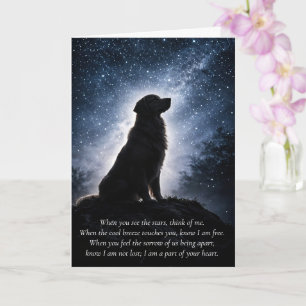Carte Beau Golden Retriever Sympathie Condoléances
