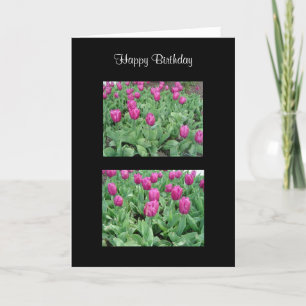 Carte Beau Jardin de Tulipes