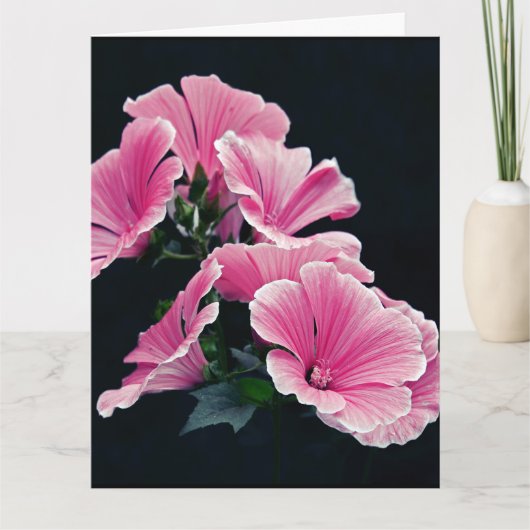 Carte Beau Jardin Roses Mallow Fleurs Roses (Devant)
