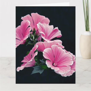 Carte Beau Jardin Roses Mauves de Mauve Fleurs