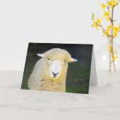 Carte Beau mouton Joyeux anniversaire (Fleur jaune)