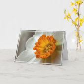 Carte Beau Narcisse Fleur Macro (Fleur jaune)