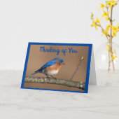 CARTE BEAU OISEAU DEMANDE **COMMENT ÊTES-VOUS ?*** (Fleur jaune)