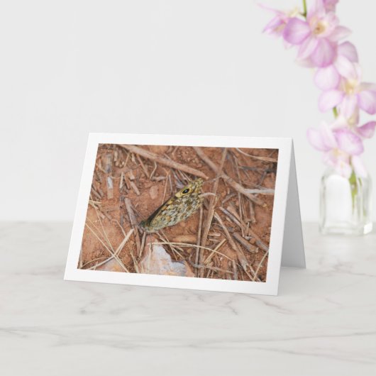 Carte Beau Papillon (Orchidée)