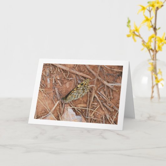 Carte Beau Papillon (Fleur jaune)