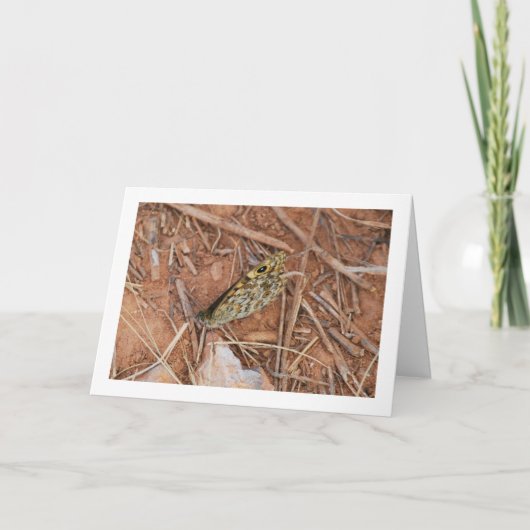 Carte Beau Papillon (Devant)