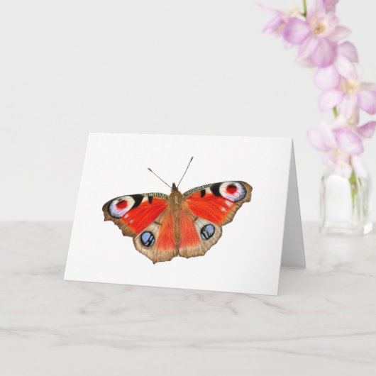 Carte Beau Papillon Paon (Orchidée)