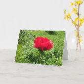 Carte Beau Pavot rouge (Fleur jaune)