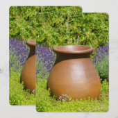 Carte Beau pot ornemental (Devant / Derrière)