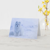 Carte Beau renard arctique (Fleur jaune)