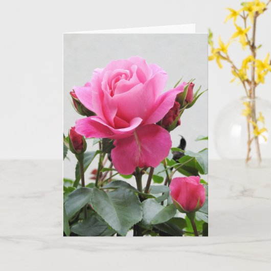 Carte Beau rose de rose (Fleur jaune)