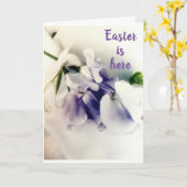 CARTE ***BEAUCOUP DE FLEURS DE PÂQUES*** POUR "PÂQUES" " (Fleur jaune)