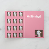 Carte Beaucoup De Mignonnes Llamas Anniversaire (Intérieur)