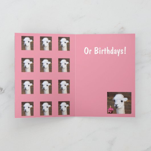 Carte Beaucoup De Mignonnes Llamas Anniversaire (Intérieur)