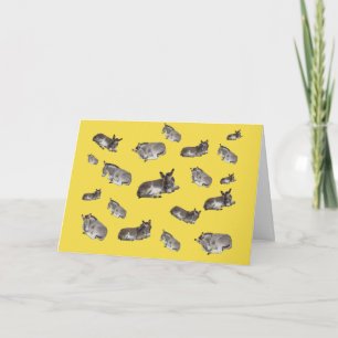 Carte Beaucoup de petits ânes