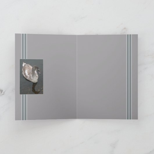 Carte Beauté adolescente (Intérieur)