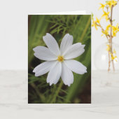 Carte Beauté blanche pure (Fleur jaune)