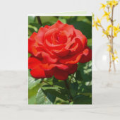 Carte Beauté de rose (Fleur jaune)