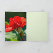 Carte Beauté de rose (Intérieur)