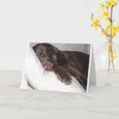 Carte Beauté de sommeil (Fleur jaune)