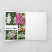 Carte Beauté d'orchidée (Intérieur)