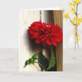 Carte Beauté et vérité (Fleur jaune)