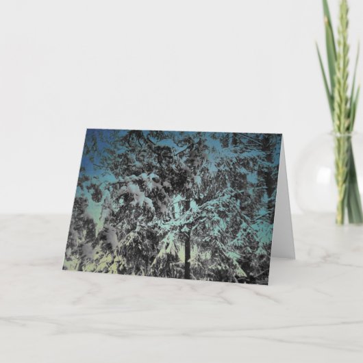 Carte Beauté hivernale enneigée (Devant)