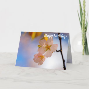Carte Beauté Incroyable Des Fleurs Sakura Au Printemps
