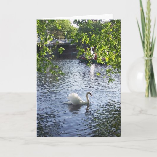 Carte Beauté sous les branches (Devant)