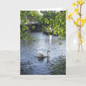 Carte Beauté sous les branches (Fleur jaune)