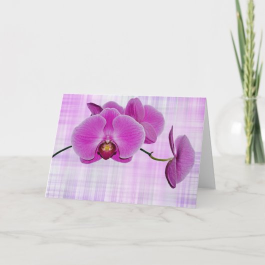 Carte Beauté tropicale (Devant)