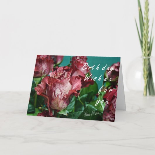 Carte Beautés roses BD 128-z (Devant)