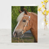 Carte Beautiful haflinger horse (Fleur jaune)