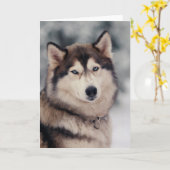 Carte Beautiful Husky in the Outdoors (Fleur jaune)